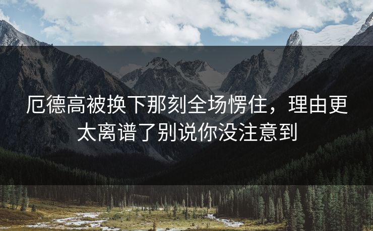 厄德高被换下那刻全场愣住，理由更太离谱了别说你没注意到