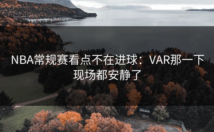 NBA常规赛看点不在进球：VAR那一下现场都安静了